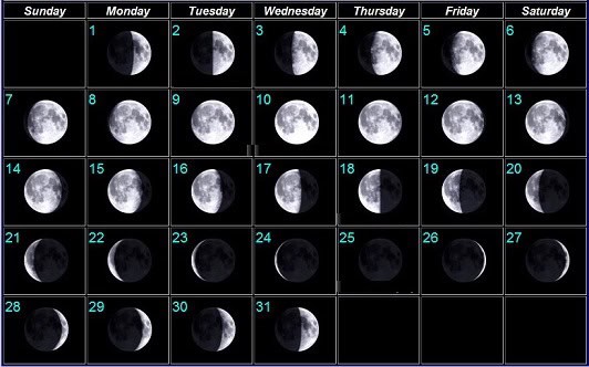 The Astronomical New Moon