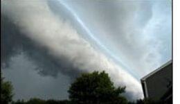 Prophecy News:  February 2011
