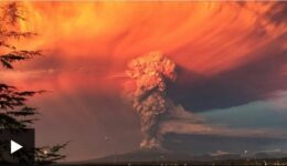 Prophecy News:  April 2015